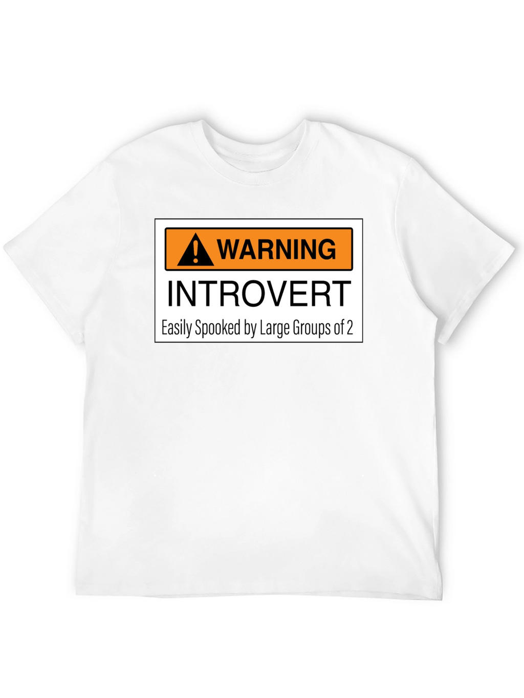 Introvert Warning Graphic Tee - Easily Spooked