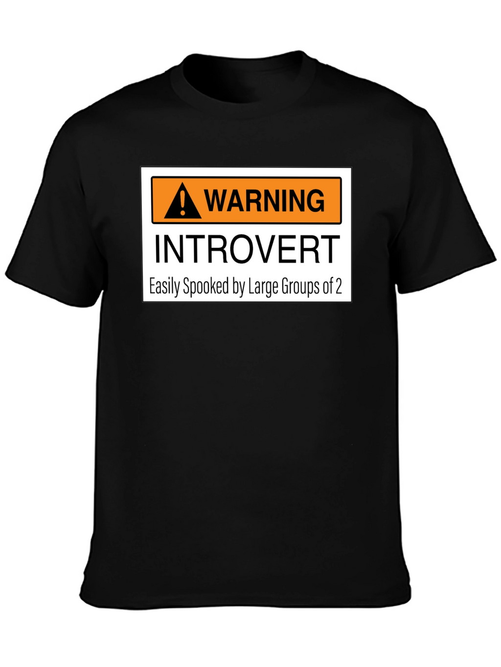 Introvert Warning Graphic Tee - Easily Spooked