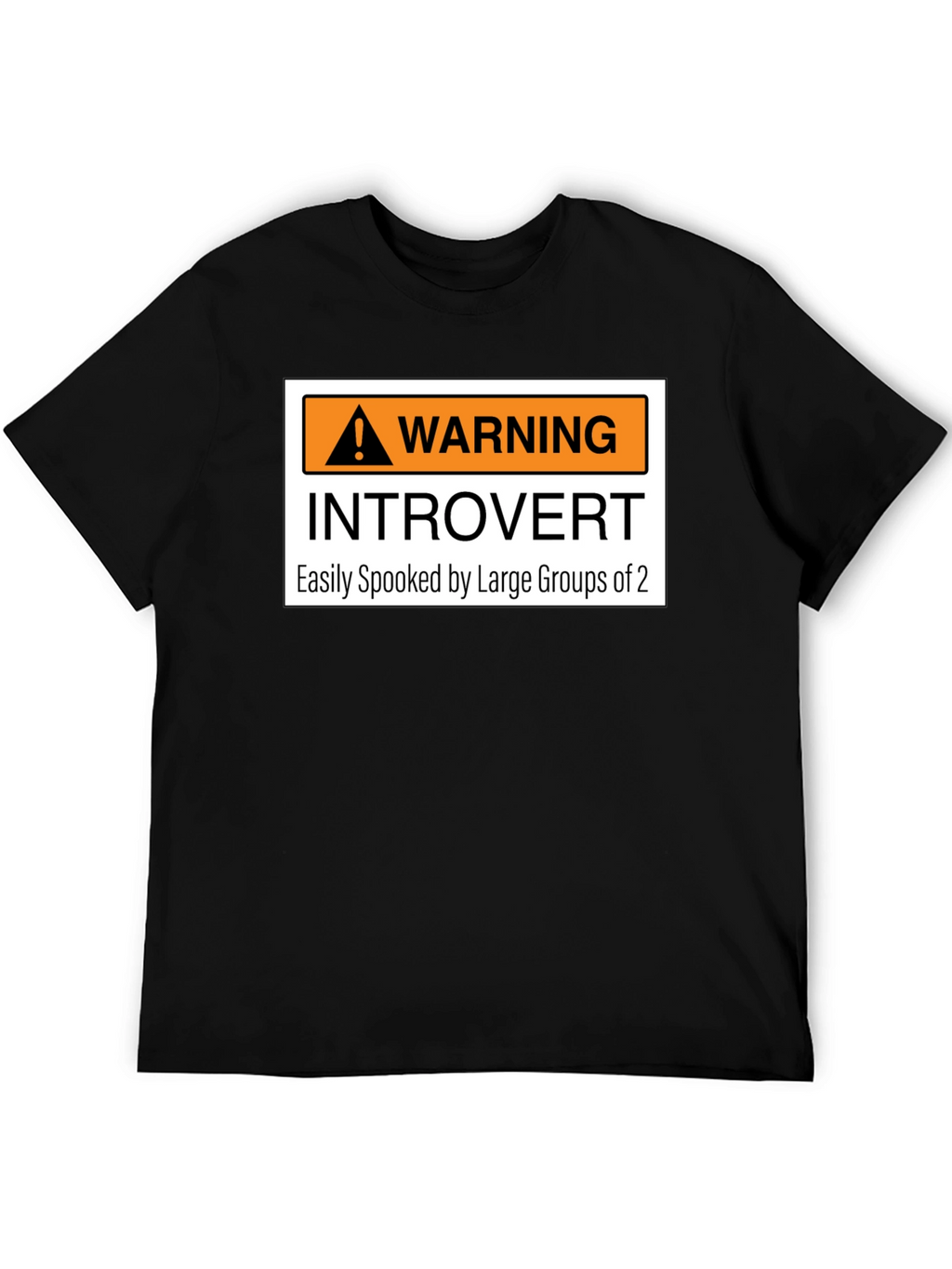 Introvert Warning Graphic Tee - Easily Spooked