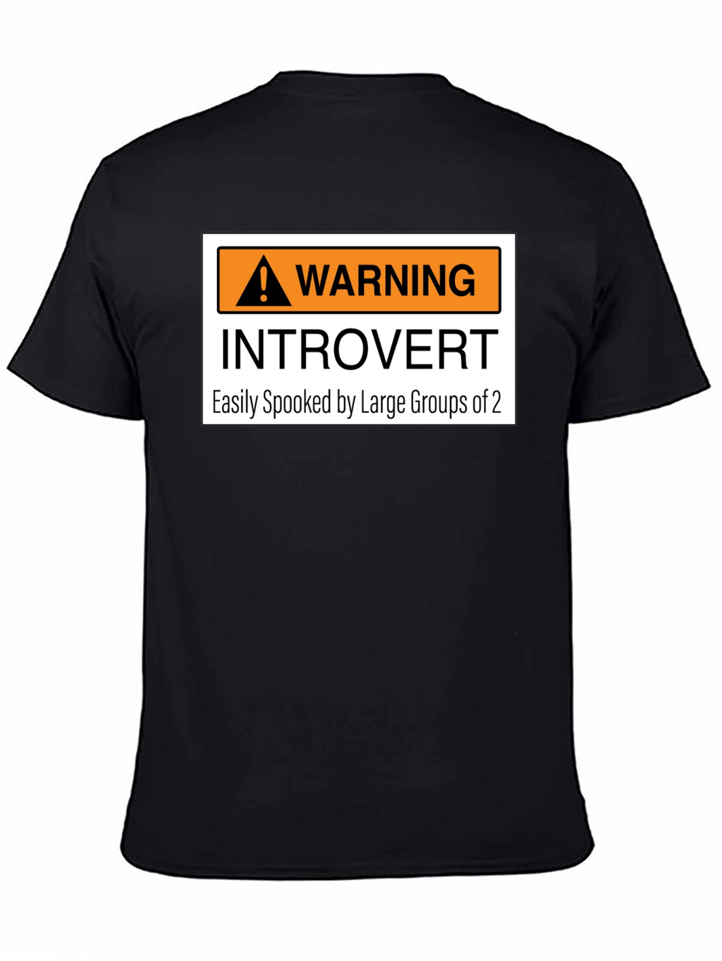 Introvert Warning Graphic Tee - Easily Spooked