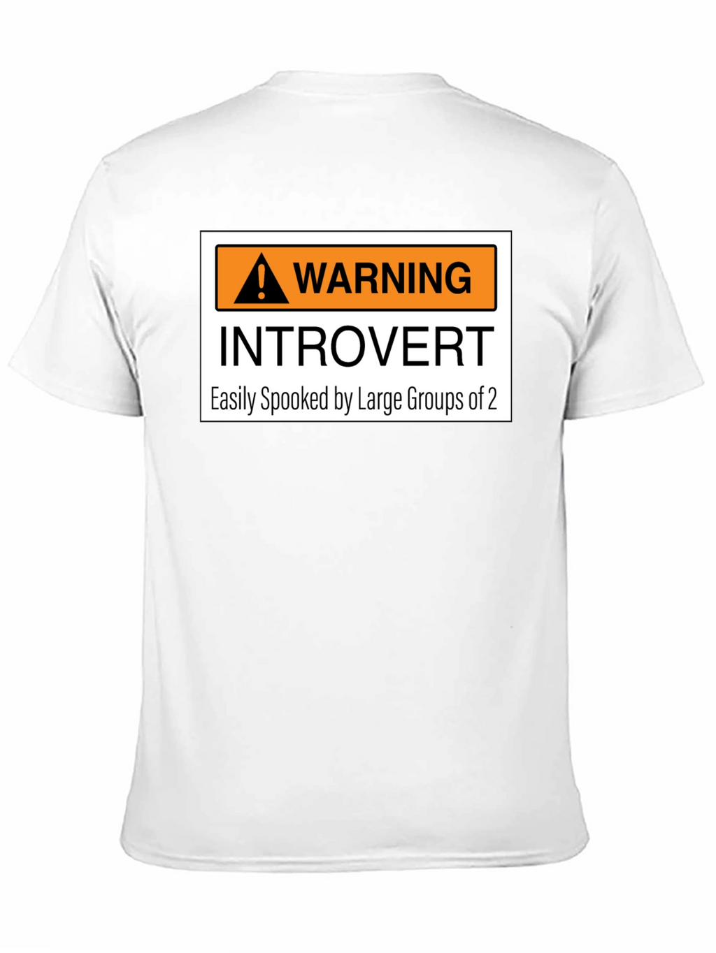 Introvert Warning Graphic Tee - Easily Spooked