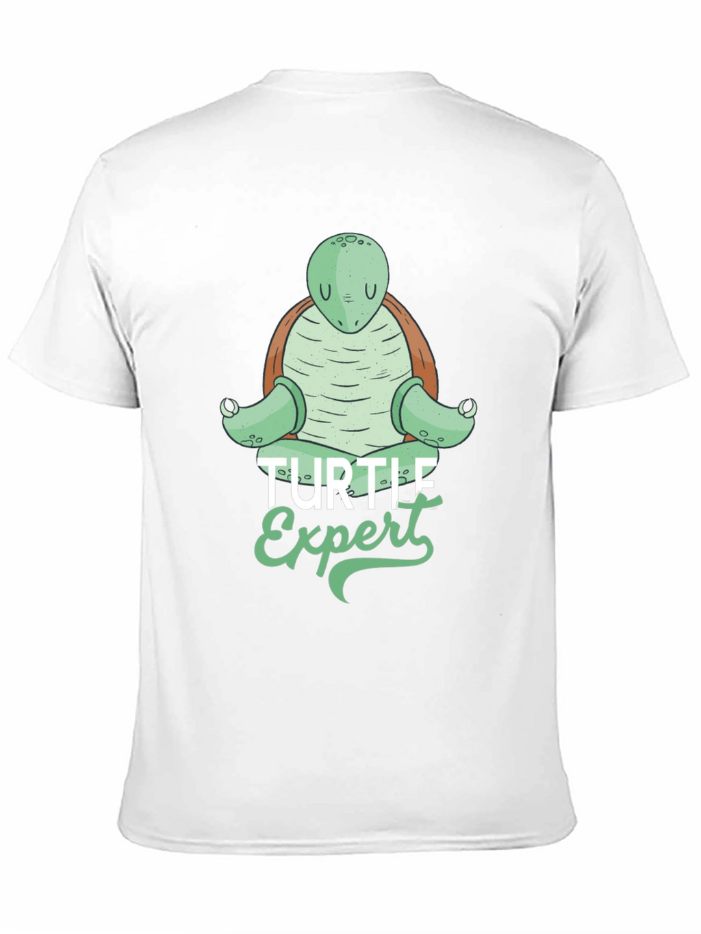 Turtle Expert Graphic Tee - Mens Black T-Shirt