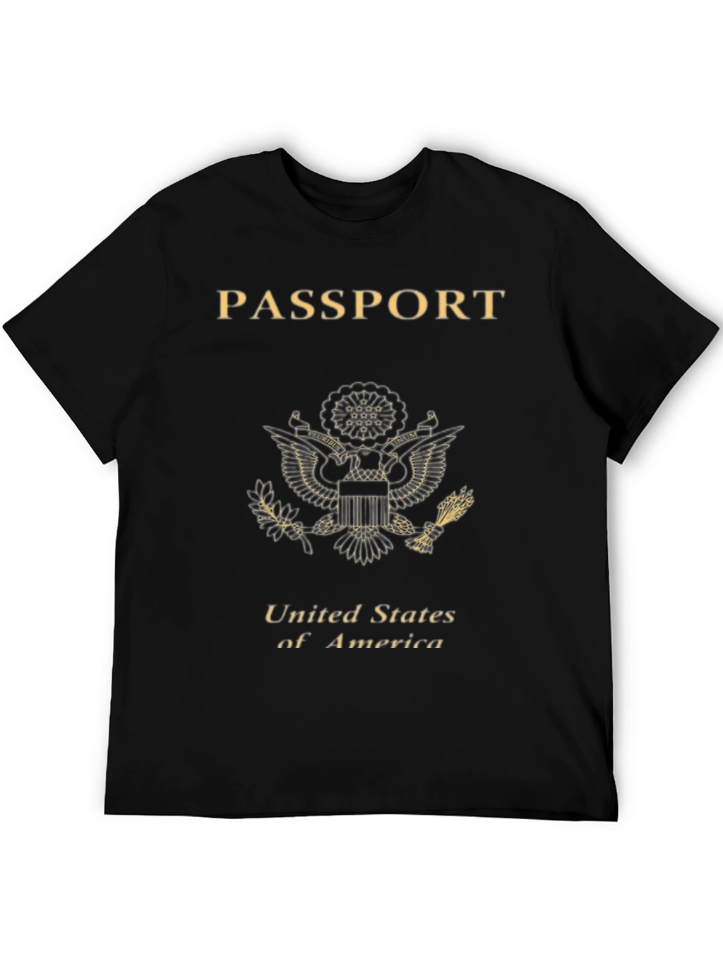 Passport USA T-Shirt - Black