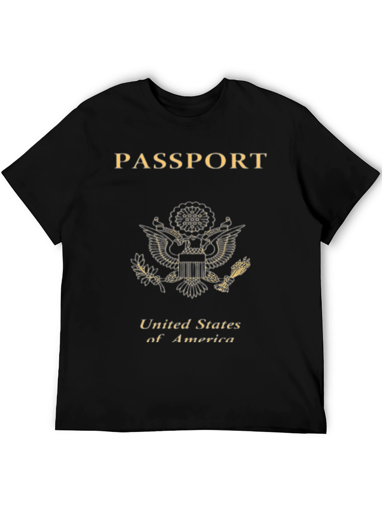 Passport USA T-Shirt - Black