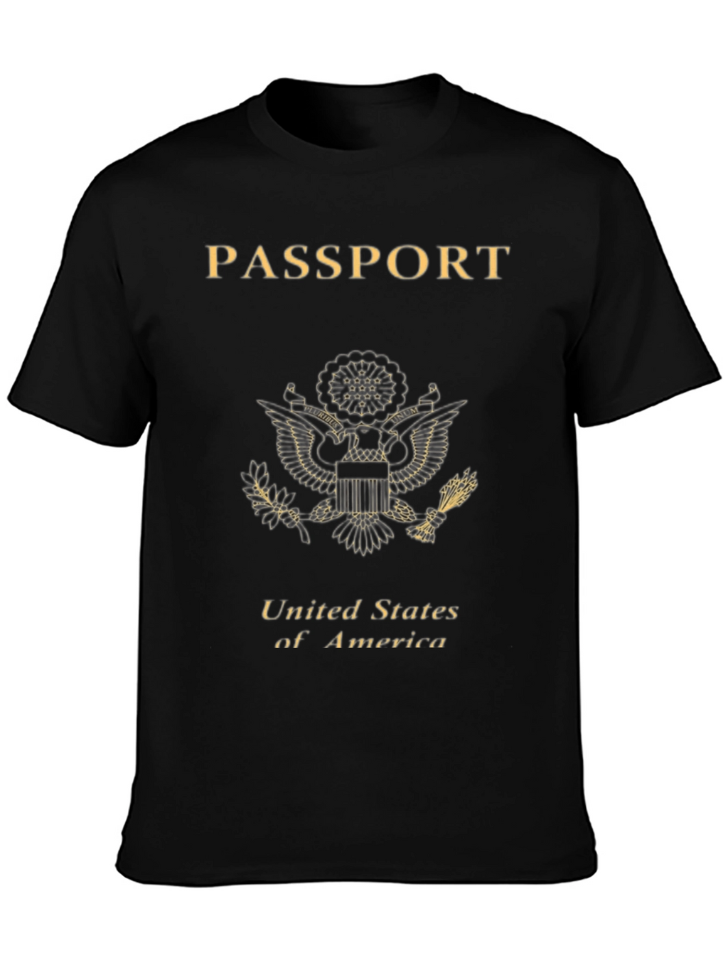 Passport USA T-Shirt - Black