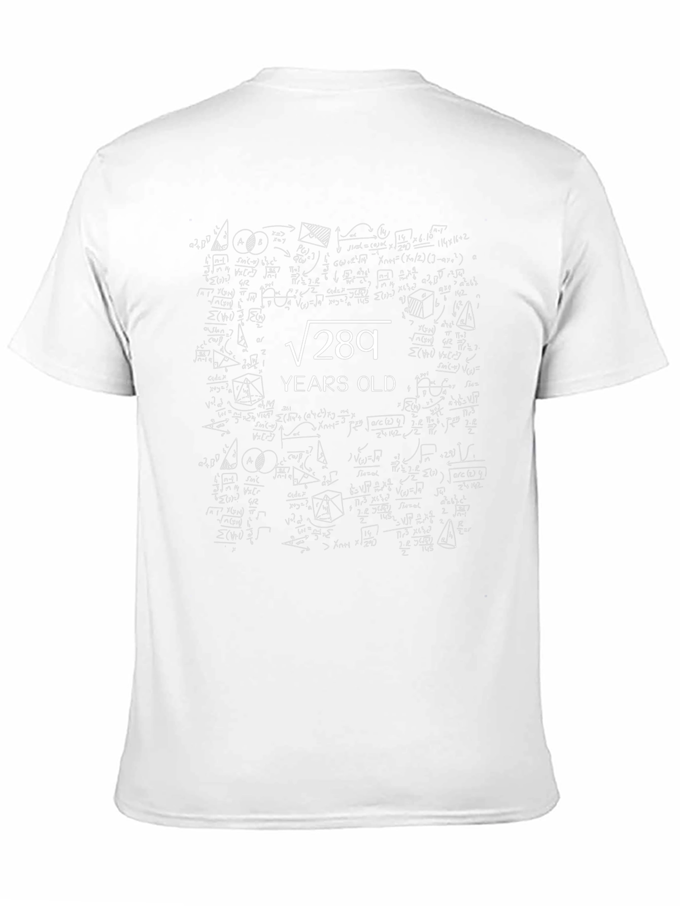 Math Humor T-Shirt -  Square Root 289 Years Old