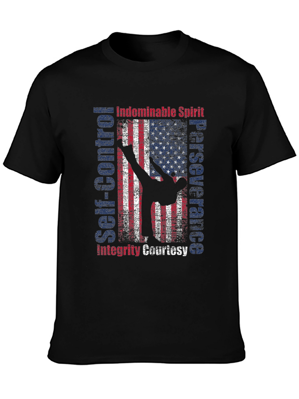 Martial Arts American Flag Patriotic Graphic T-Shirt