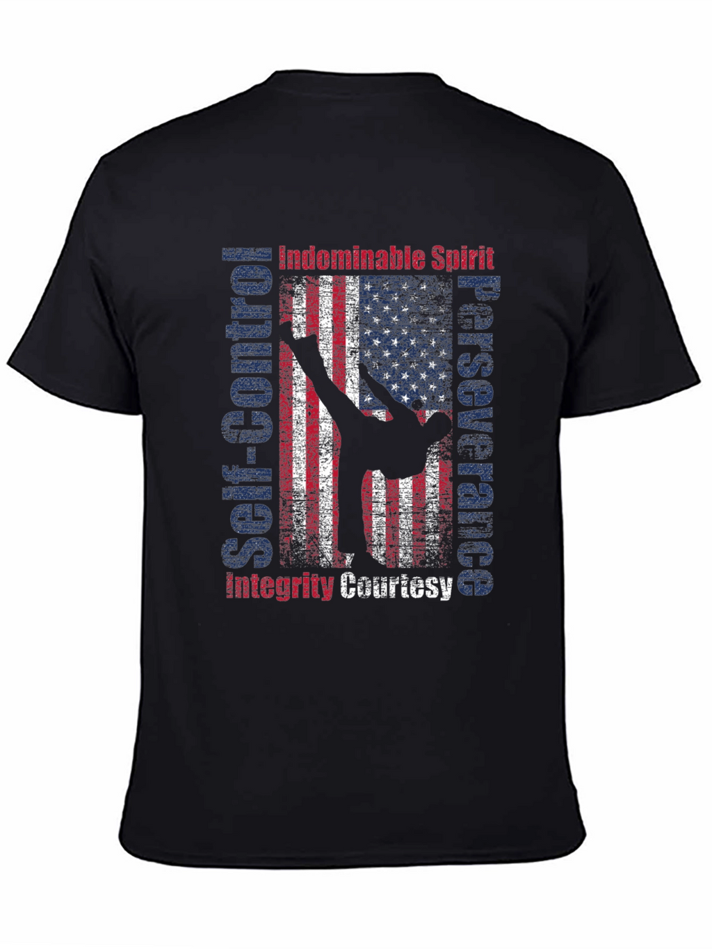Martial Arts American Flag Patriotic Graphic T-Shirt