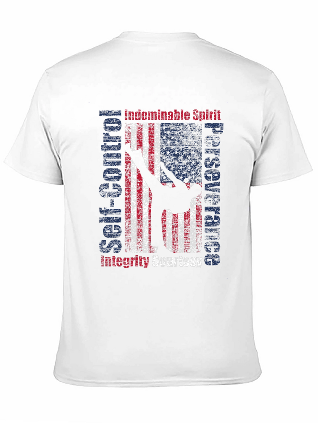 Martial Arts American Flag Patriotic Graphic T-Shirt