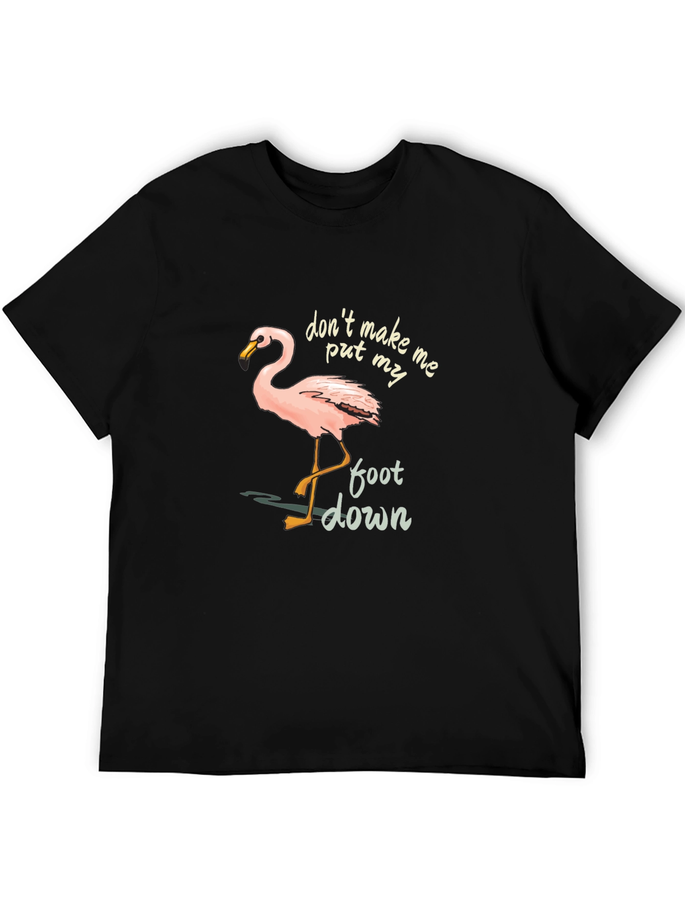 Flamingo Graphic Tee: Dont Make Me Put My Foot Down