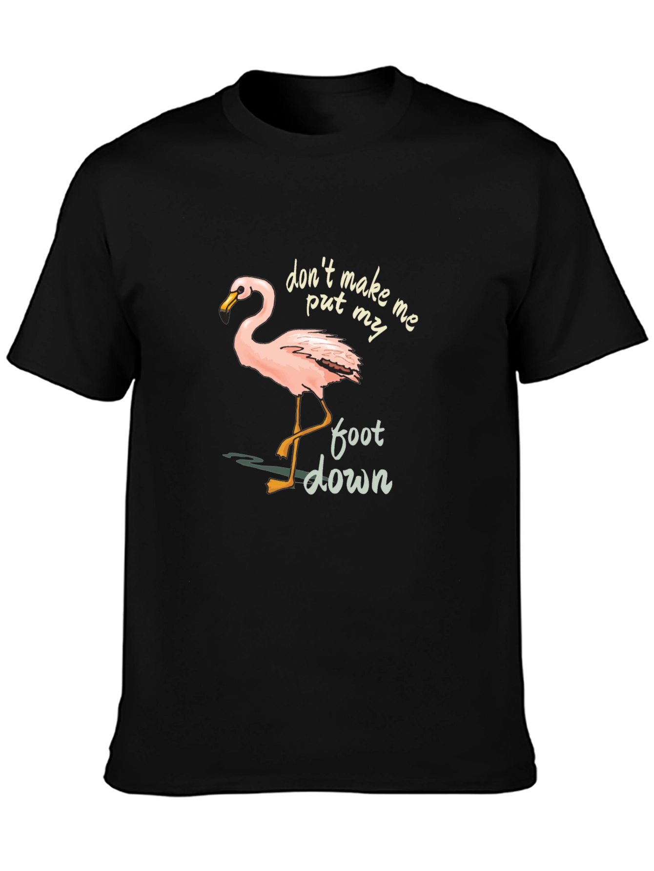 Flamingo Graphic Tee: Dont Make Me Put My Foot Down