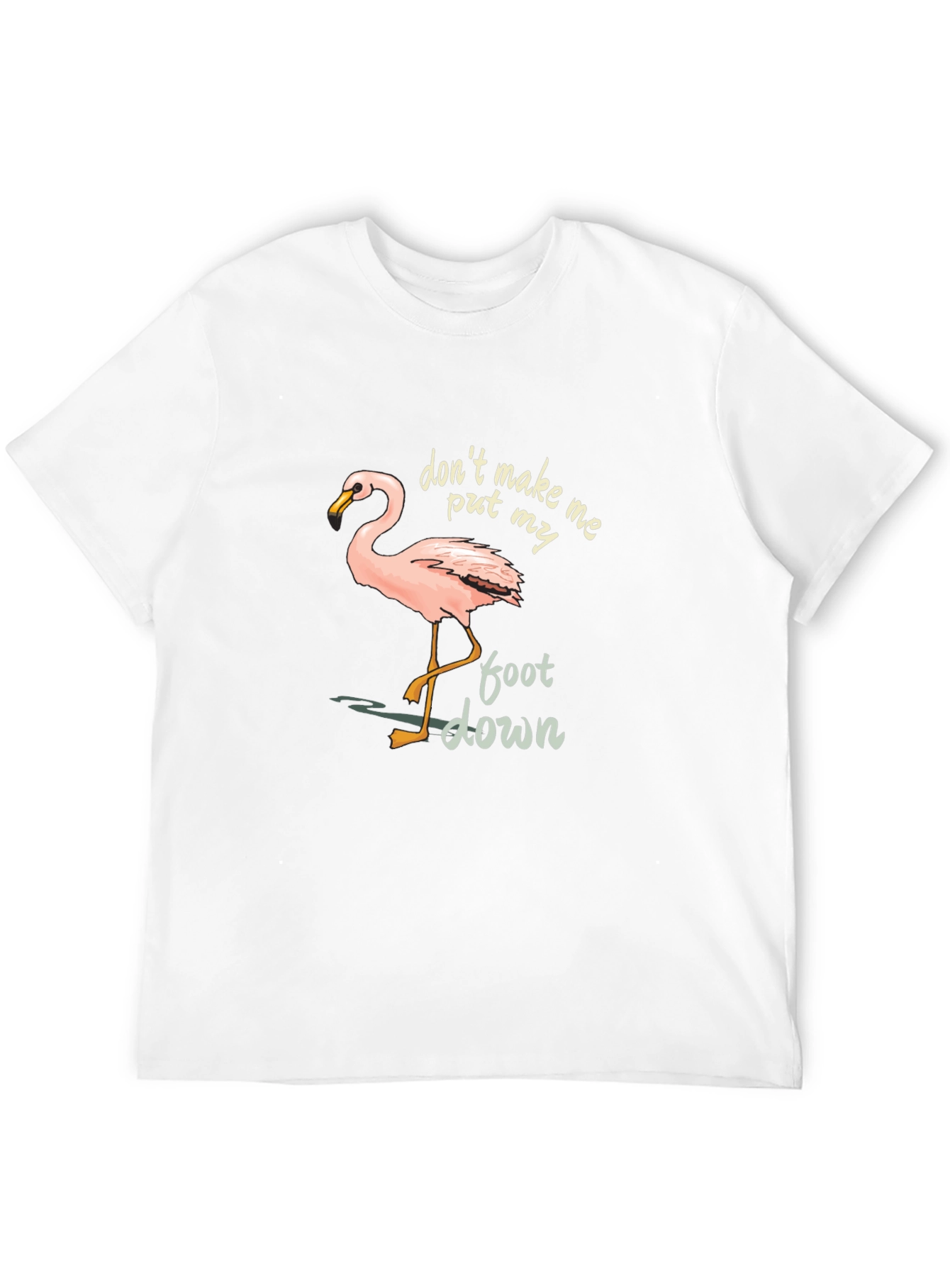 Flamingo Graphic Tee: Dont Make Me Put My Foot Down