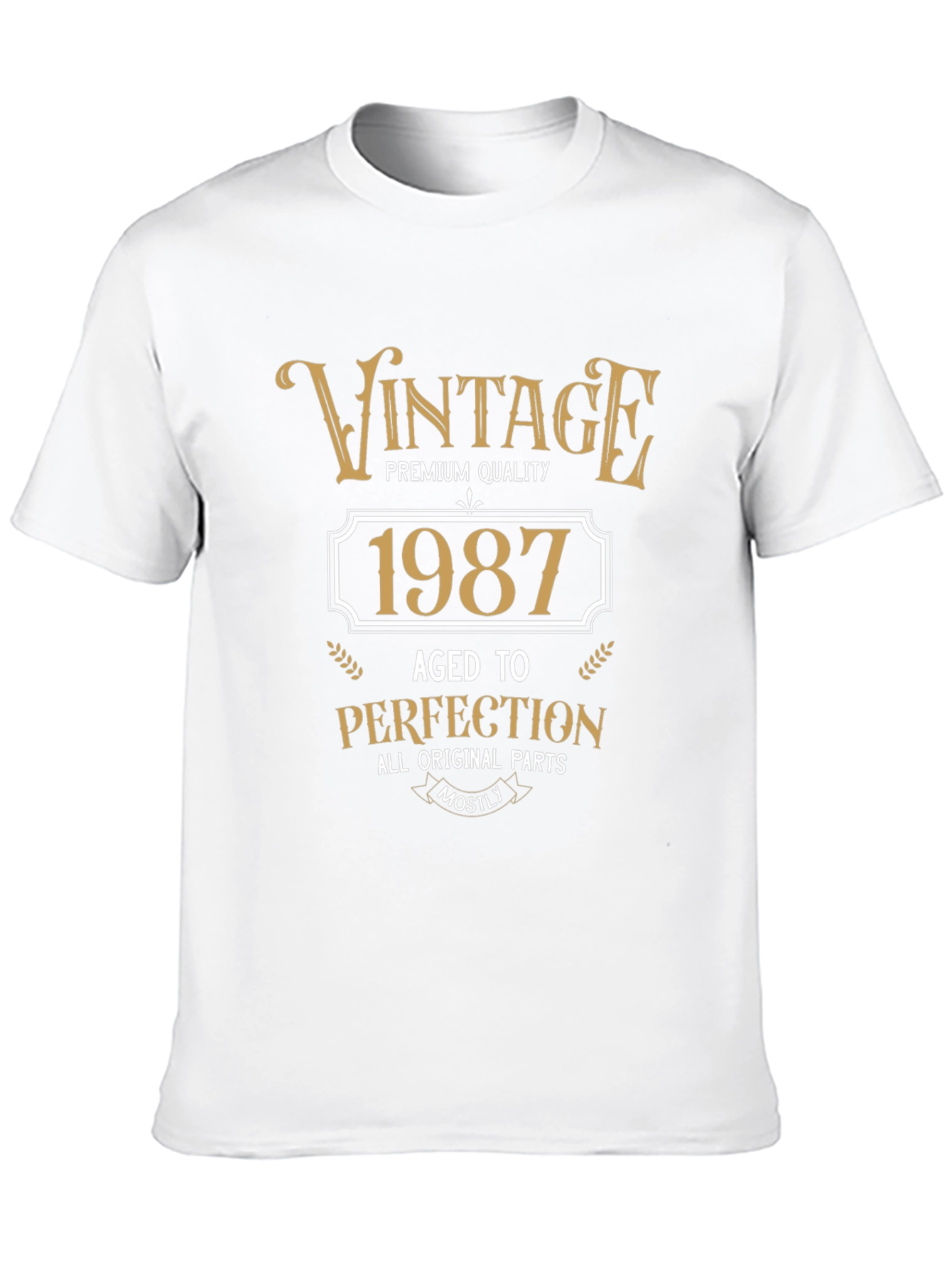 Vintage 1987 Aged to Perfection T-Shirt
