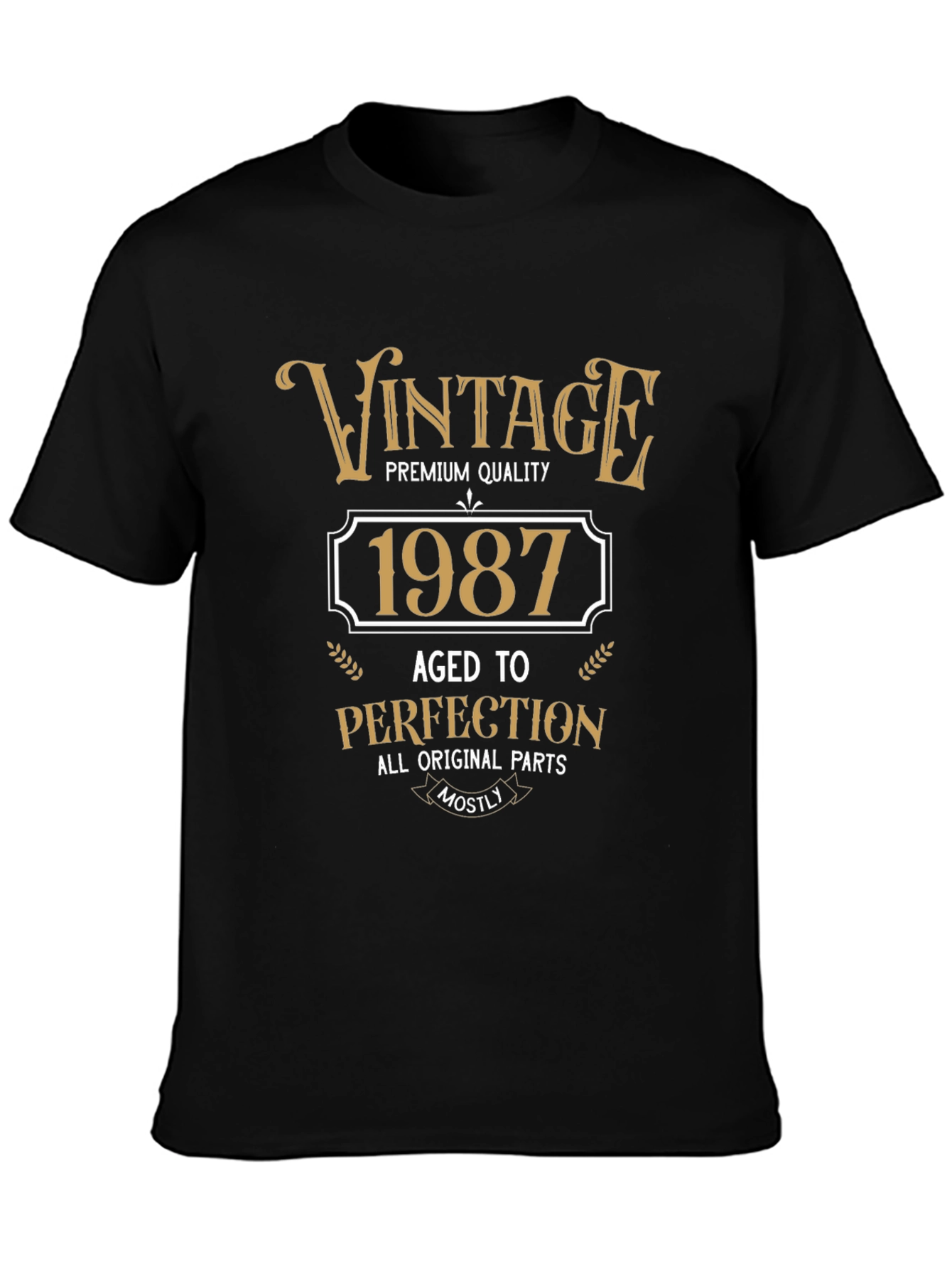 Vintage 1987 Aged to Perfection T-Shirt