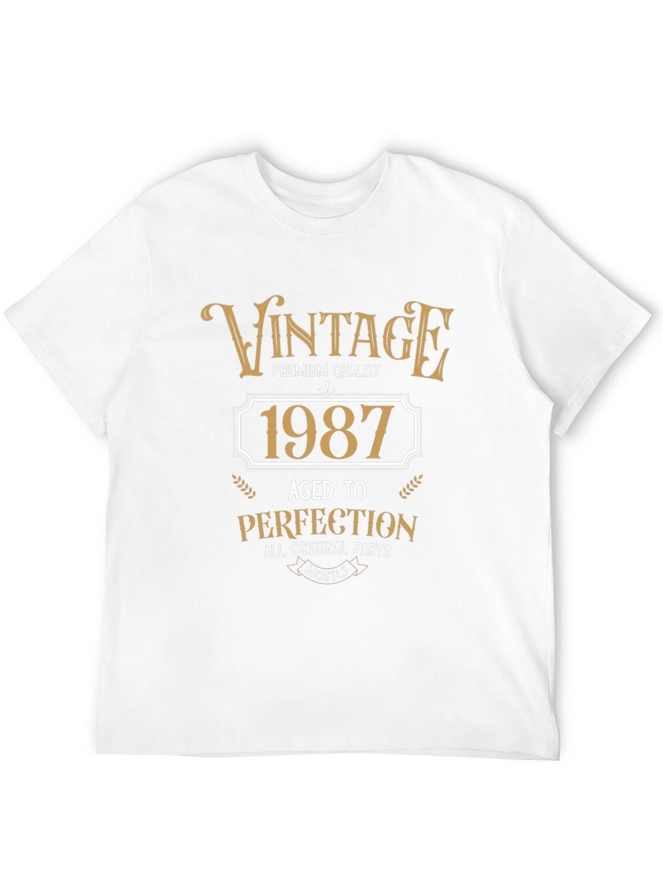 Vintage 1987 Aged to Perfection T-Shirt