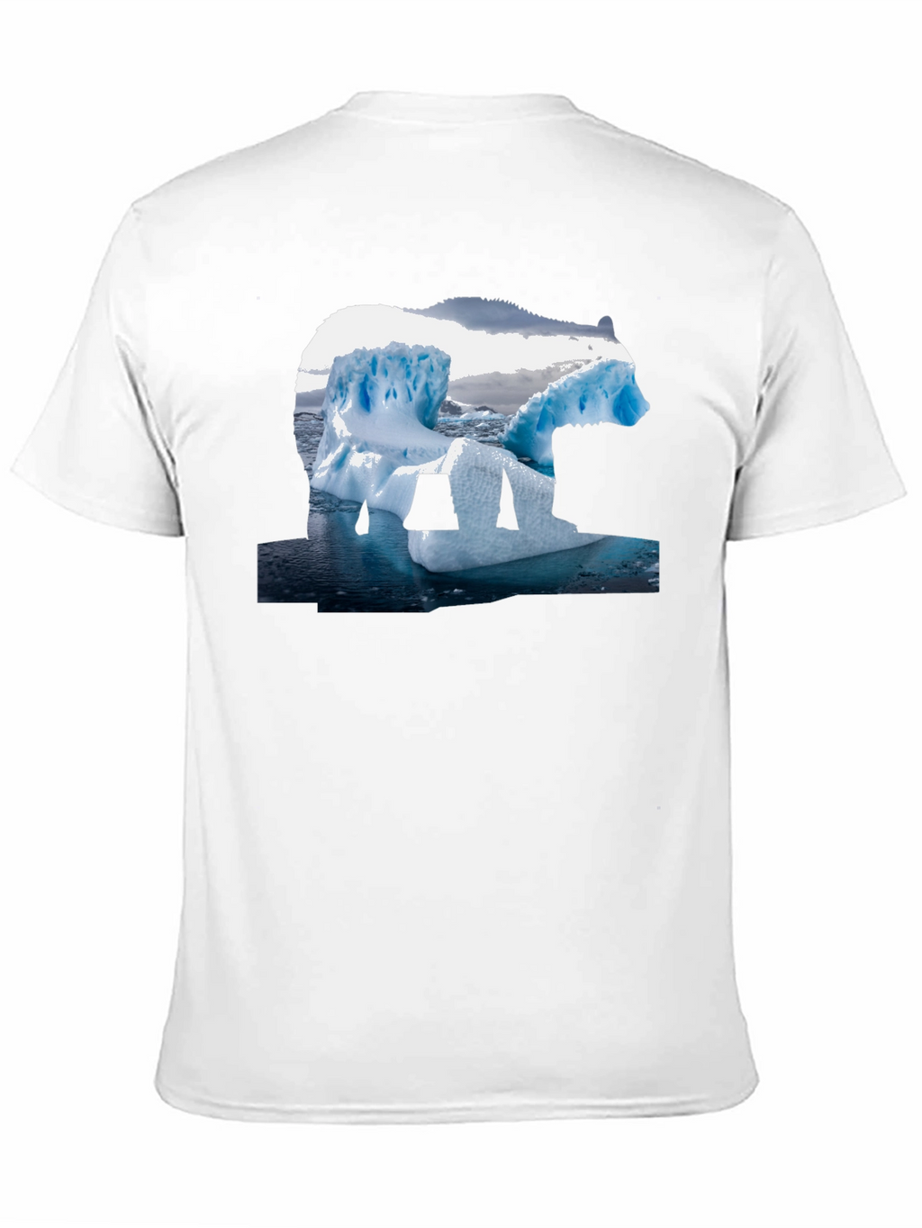 Polar Bear Iceberg Graphic Tee - Black Cotton T-Shirt