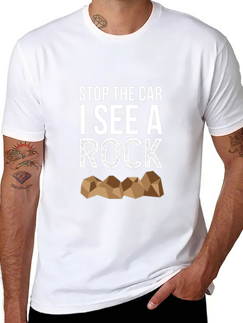 Stop the Car I See a Rock T-Shirt