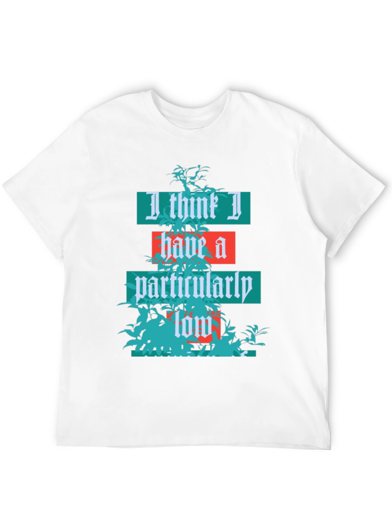 Humorous Graphic T-Shirt: Low Standards Tee
