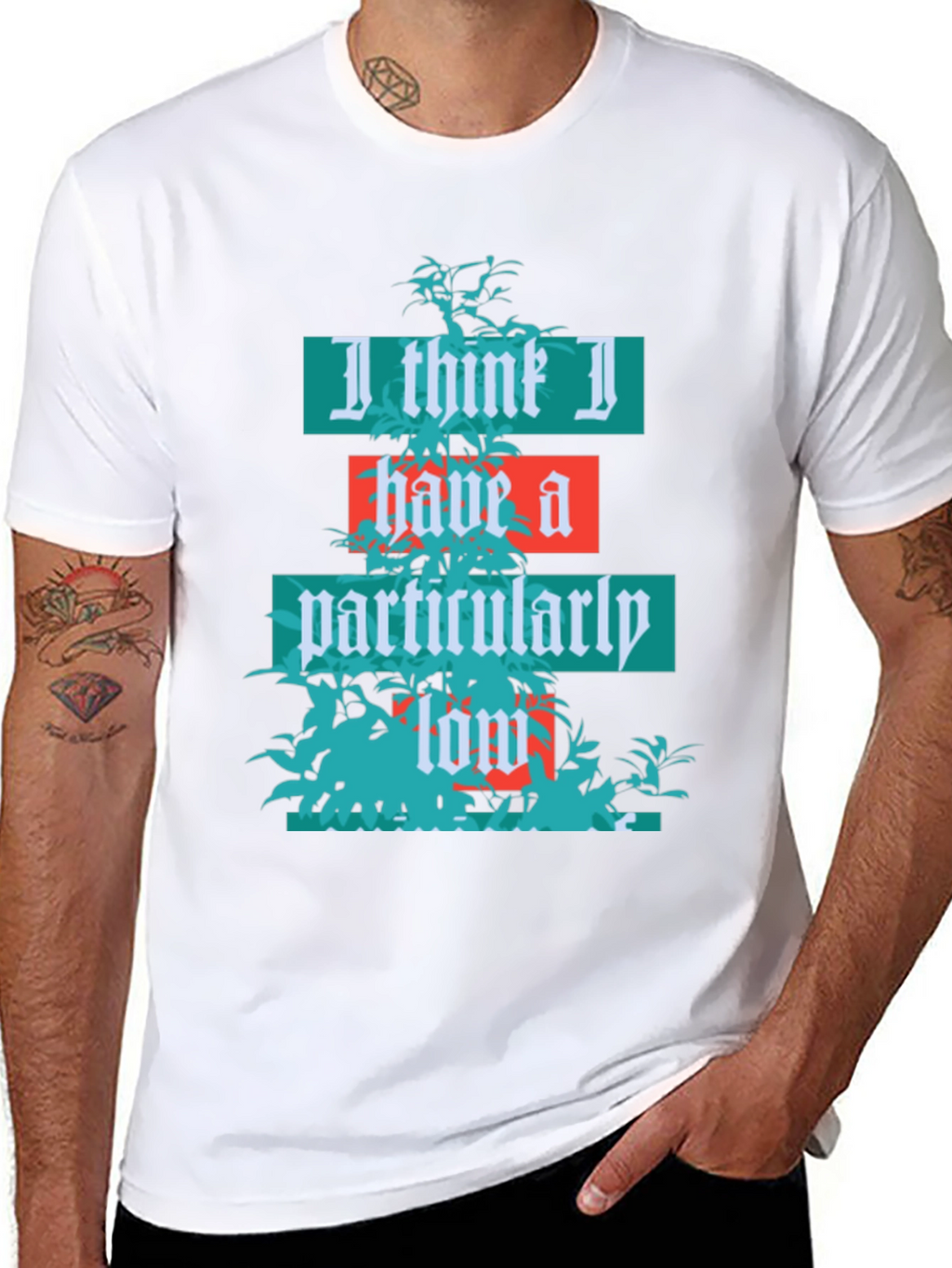 Humorous Graphic T-Shirt: Low Standards Tee