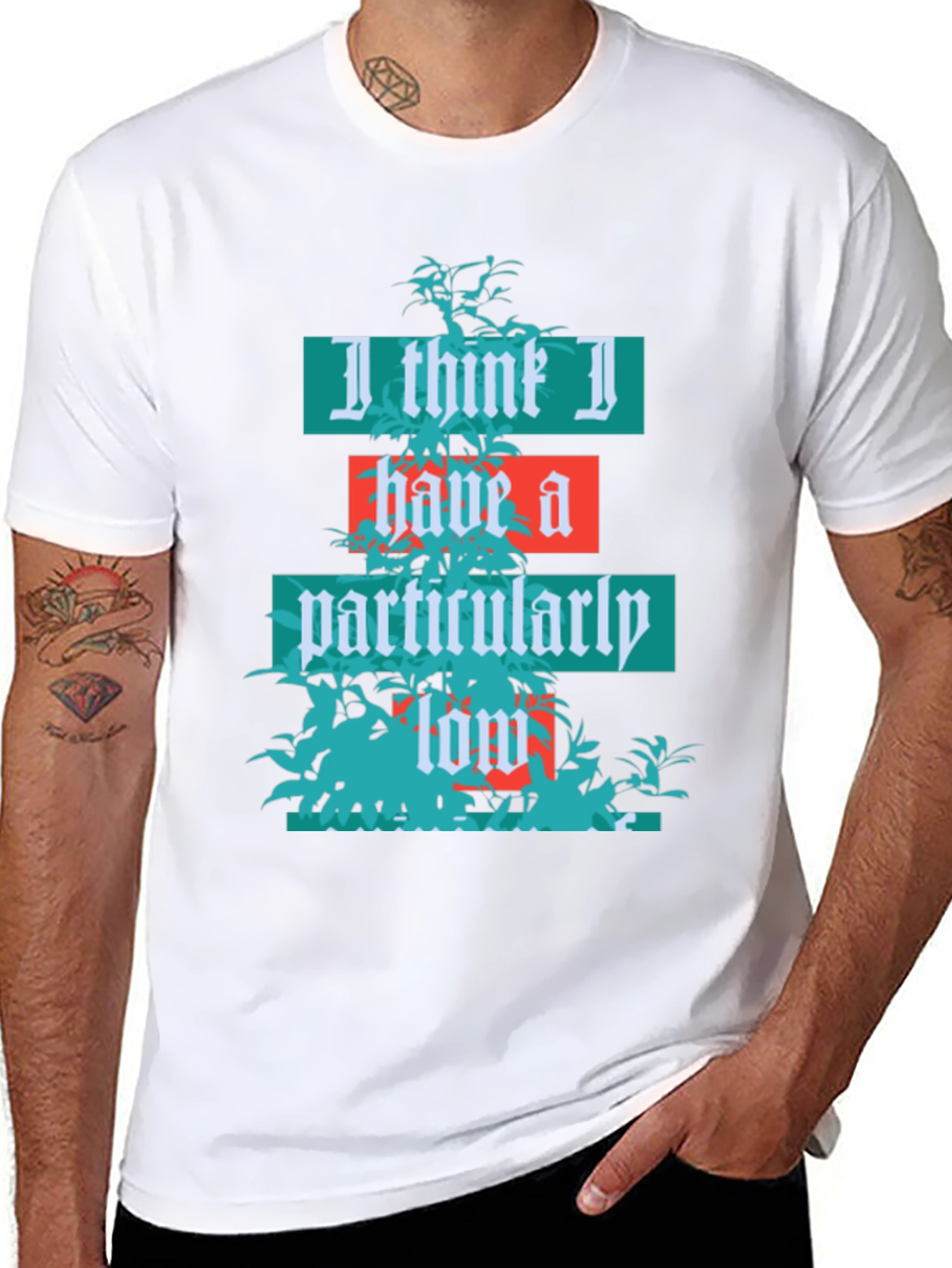 Humorous Graphic T-Shirt: Low Standards Tee