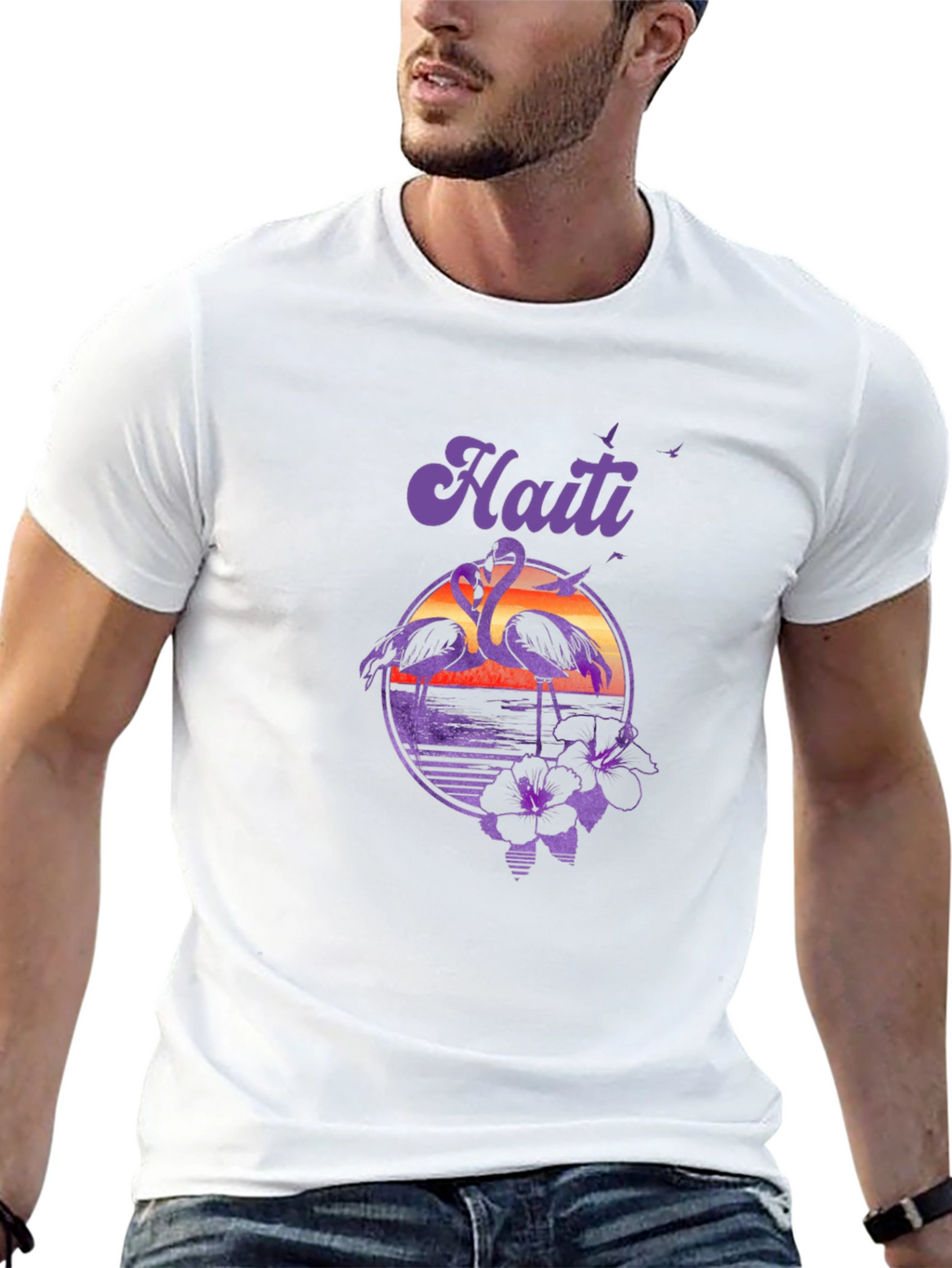 Haiti Flamingo Sunset T-Shirt - Island Vibes