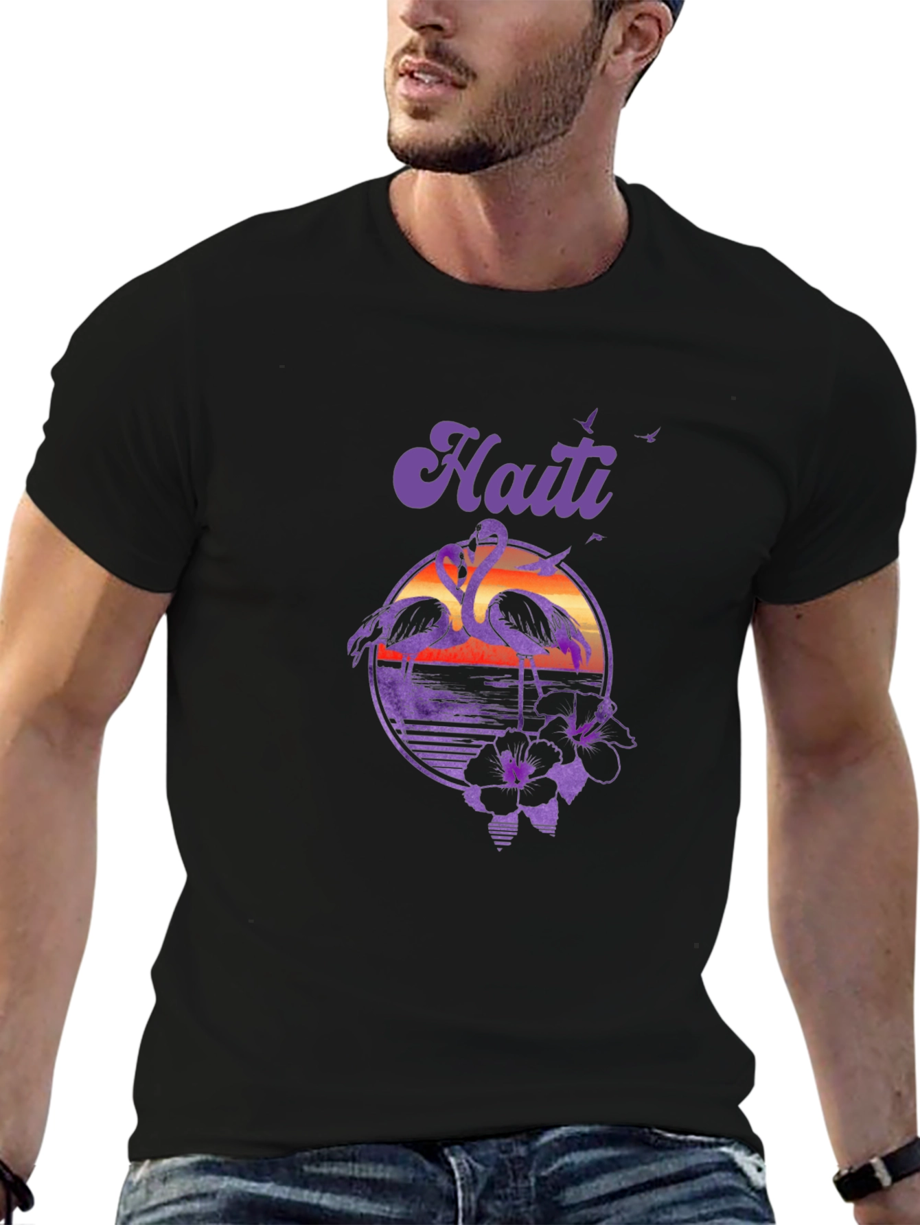 Haiti Flamingo Sunset T-Shirt - Island Vibes
