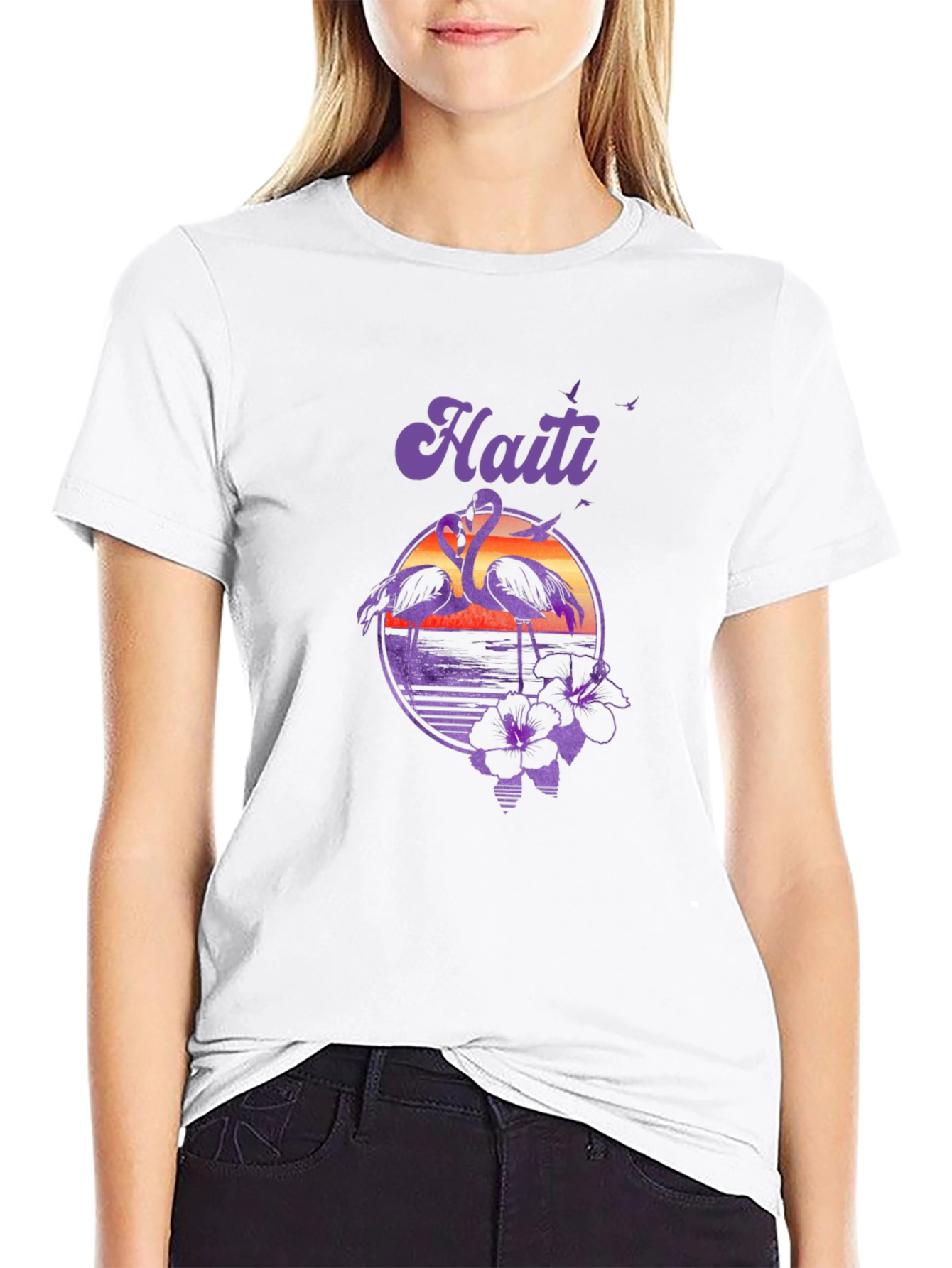 Haiti Flamingo Sunset T-Shirt - Island Vibes