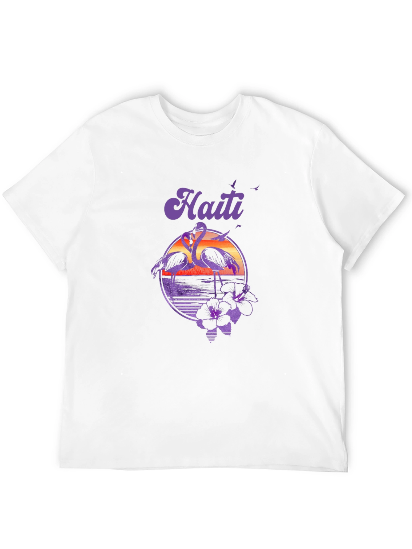 Haiti Flamingo Sunset T-Shirt - Island Vibes