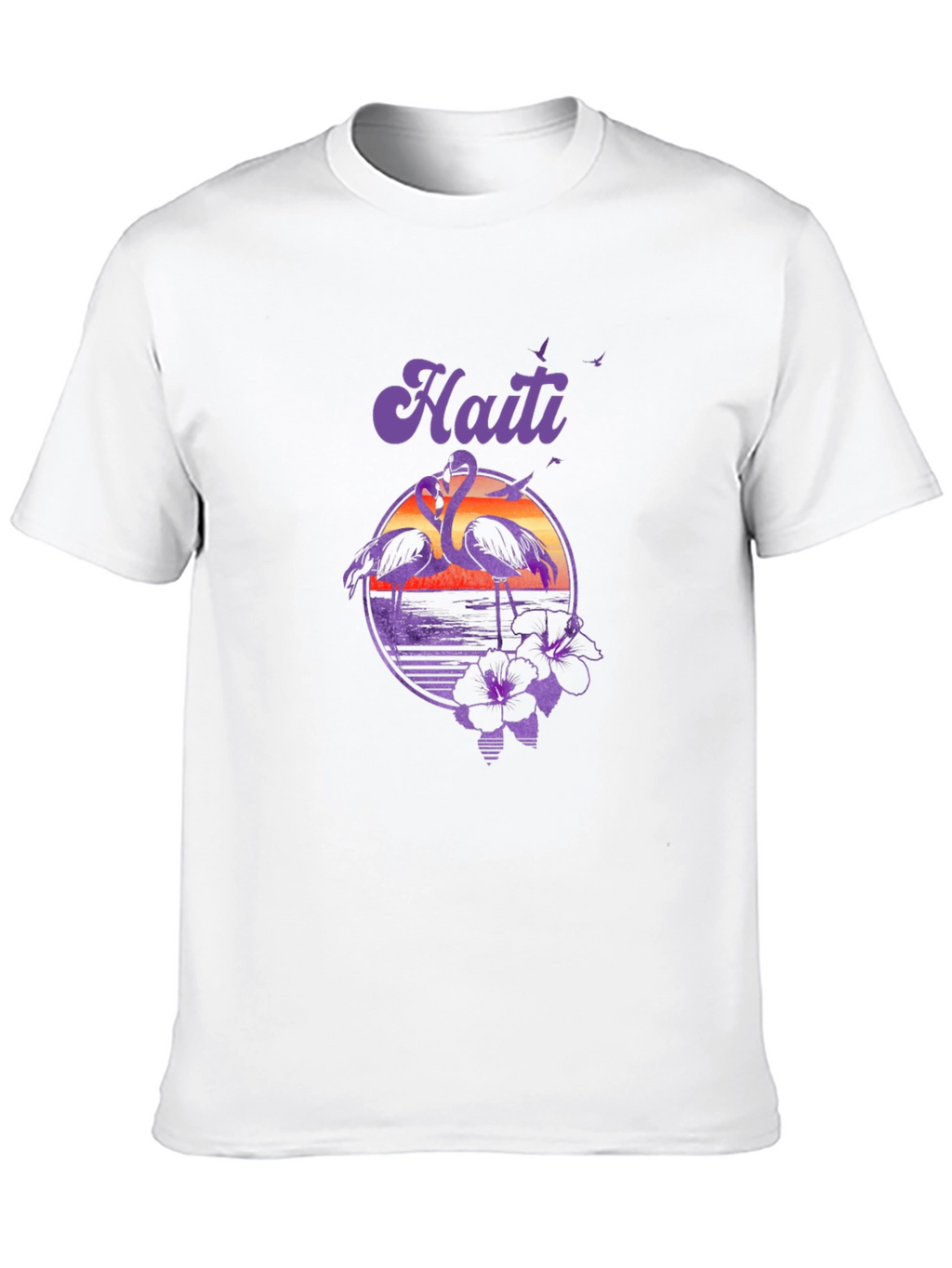 Haiti Flamingo Sunset T-Shirt - Island Vibes