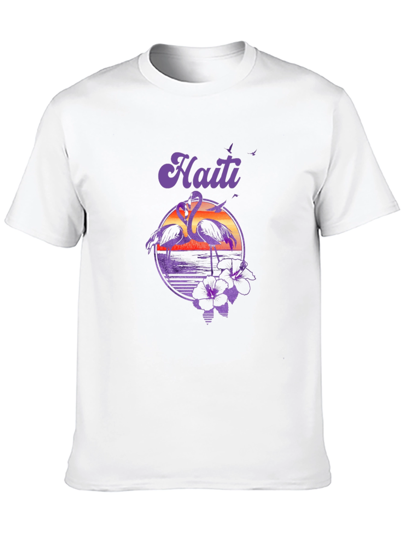 Haiti Flamingo Sunset T-Shirt - Island Vibes