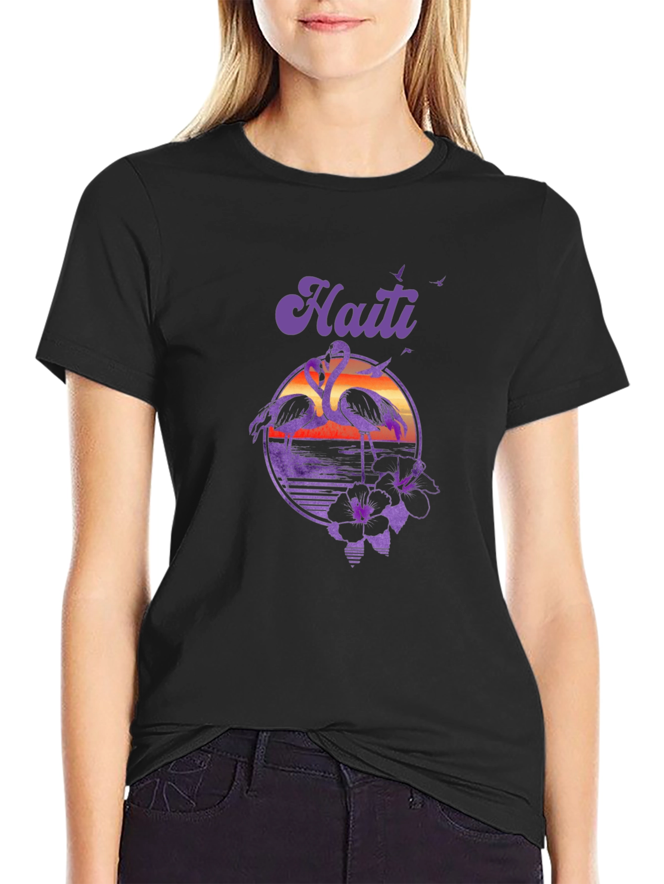Haiti Flamingo Sunset T-Shirt - Island Vibes