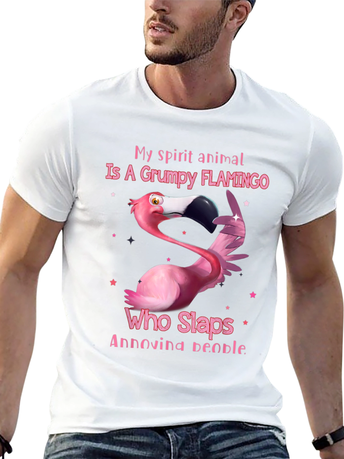 Grumpy Flamingo T-Shirt: Slap Annoying People!