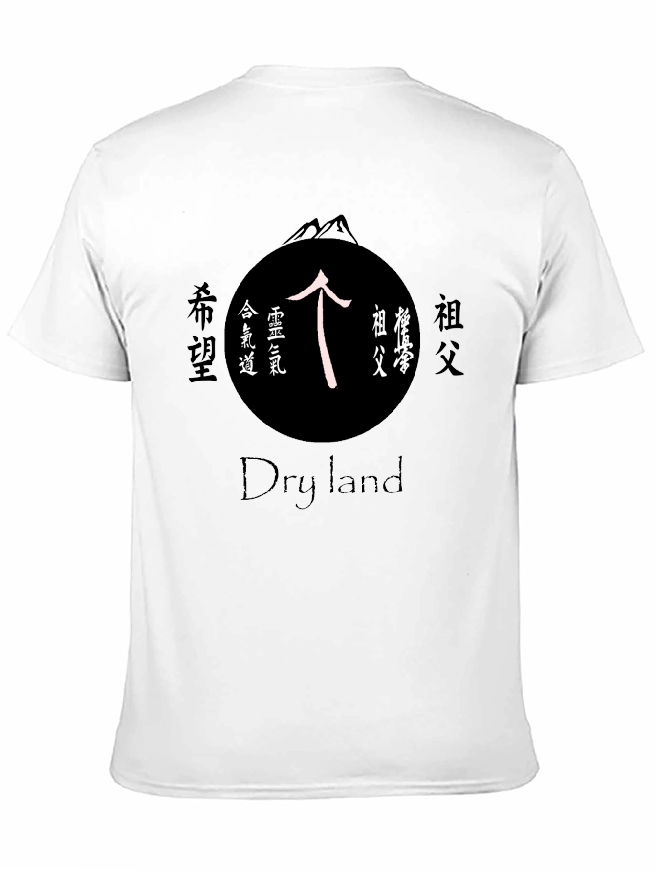 Dry Land T-Shirt with Japanese Symbol Design