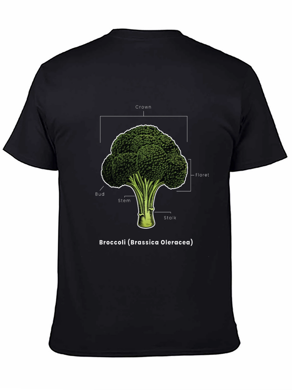 Broccoli Anatomy T-Shirt - Botanical Graphic Tee