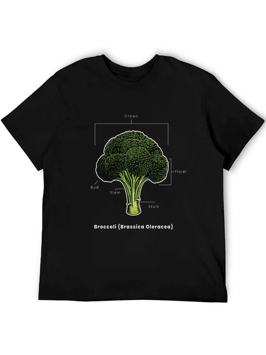 Broccoli Anatomy T-Shirt - Botanical Graphic Tee