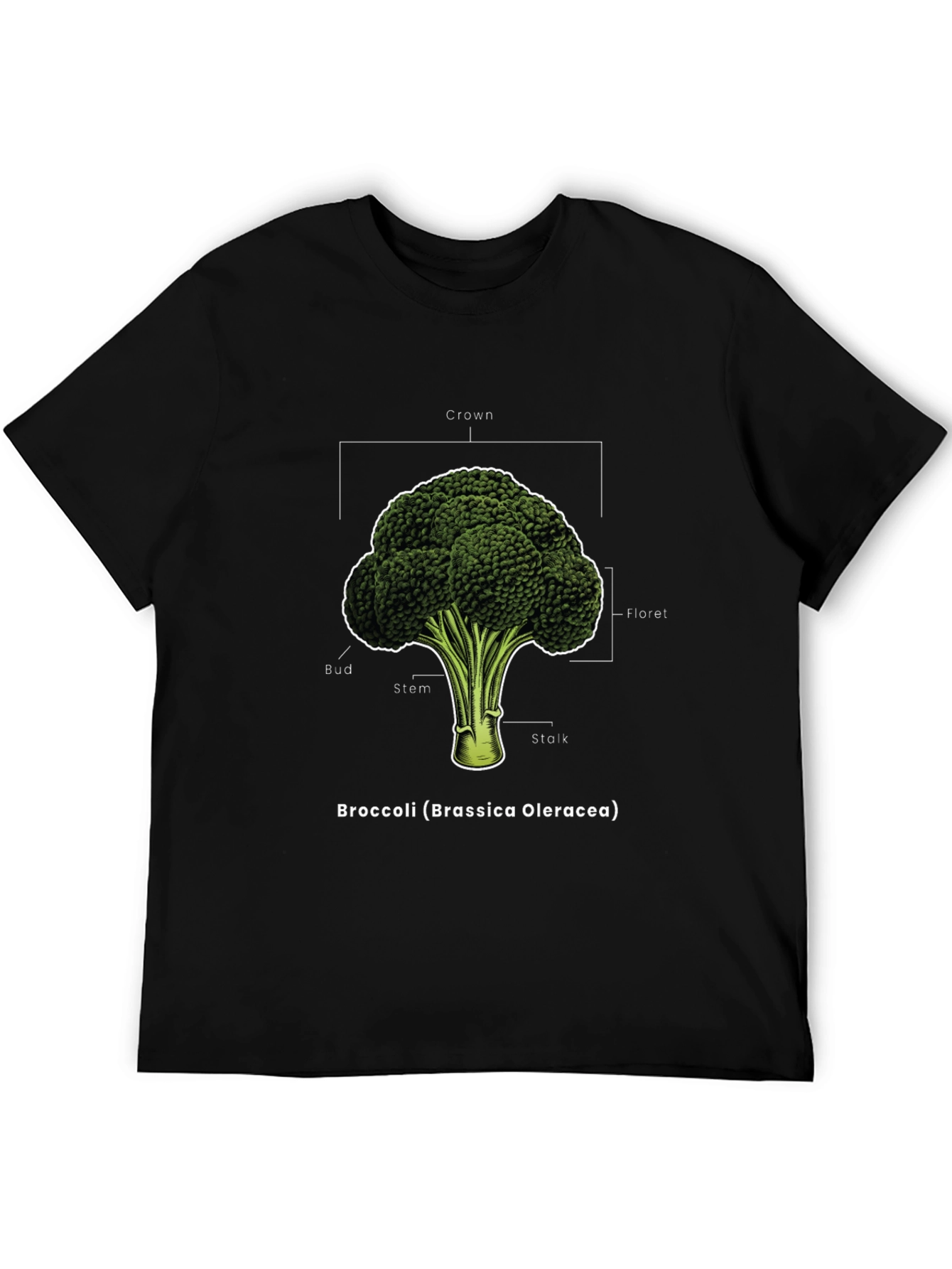 Broccoli Anatomy T-Shirt - Botanical Graphic Tee