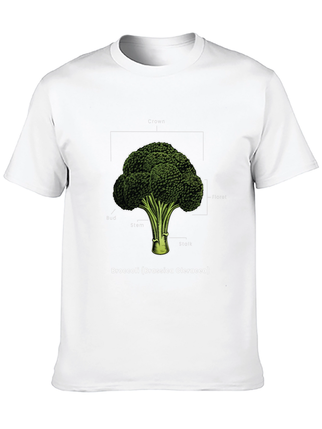 Broccoli Anatomy T-Shirt - Botanical Graphic Tee