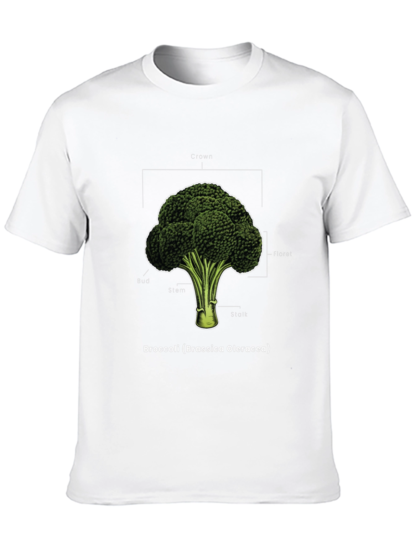 Broccoli Anatomy T-Shirt - Botanical Graphic Tee
