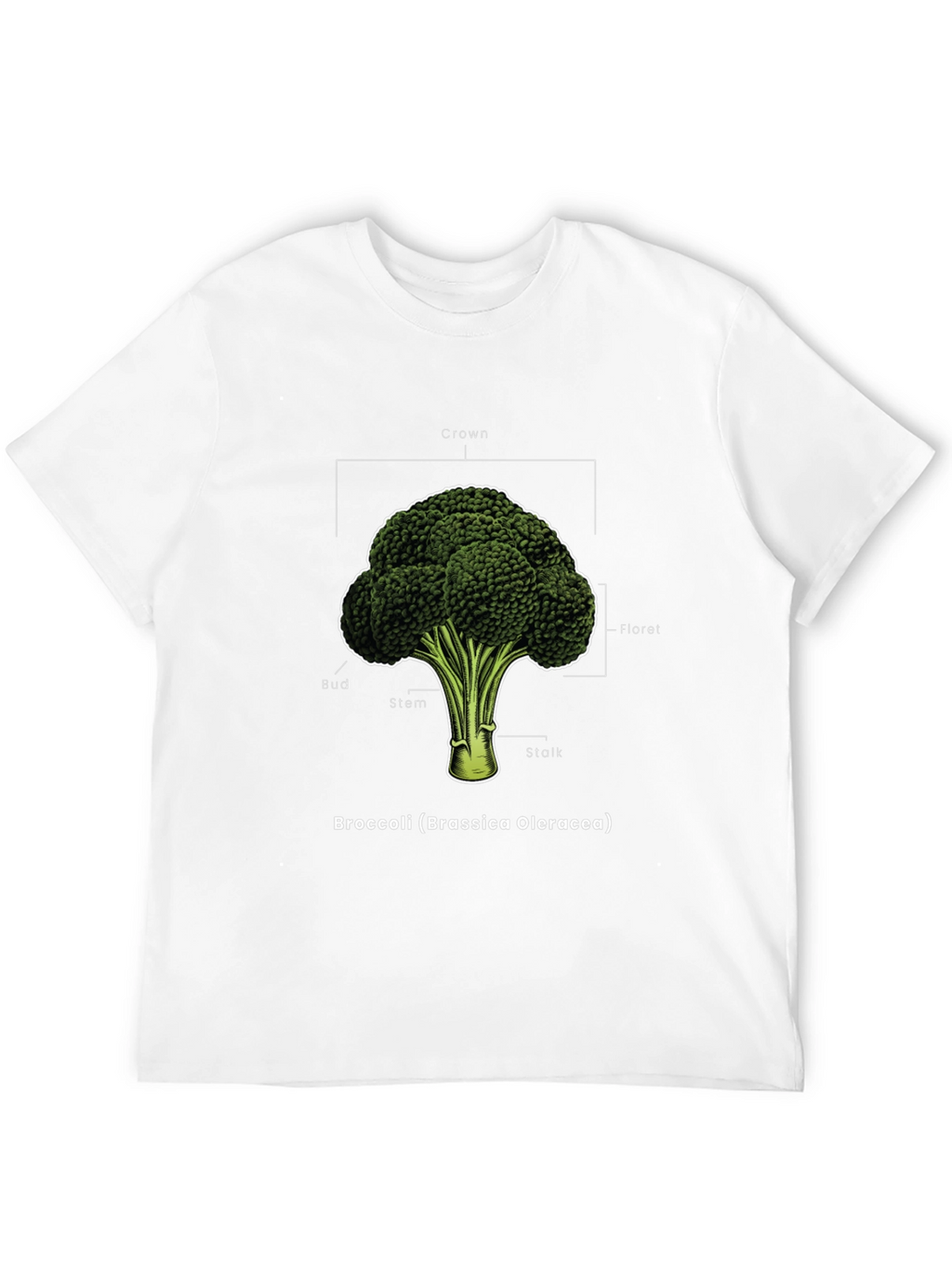 Broccoli Anatomy T-Shirt - Botanical Graphic Tee