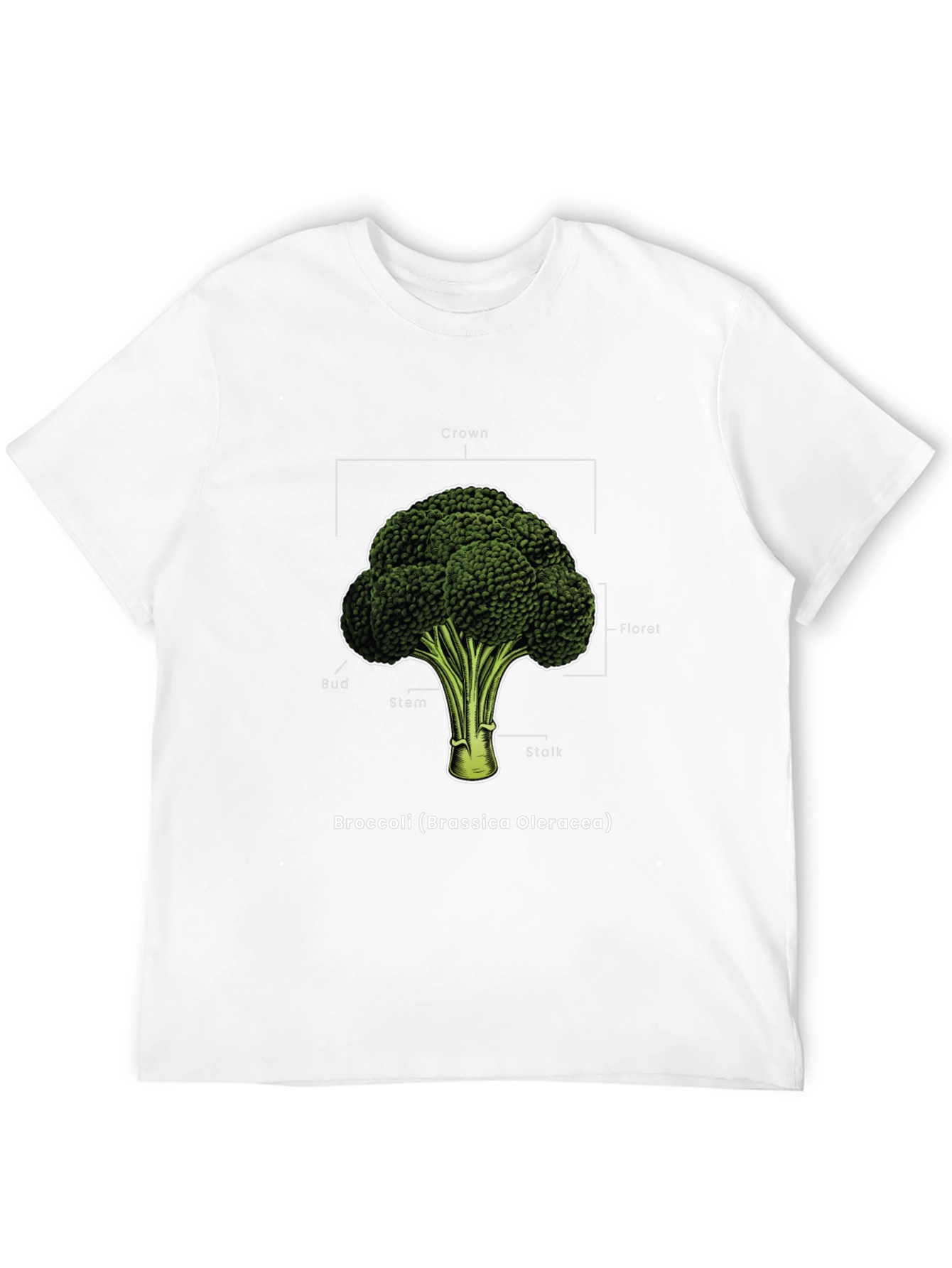 Broccoli Anatomy T-Shirt - Botanical Graphic Tee