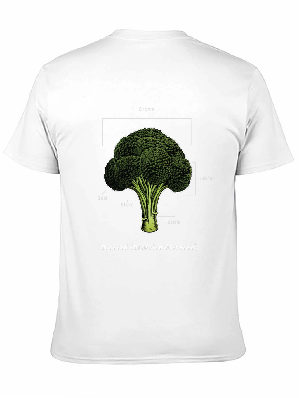 Broccoli Anatomy T-Shirt - Botanical Graphic Tee