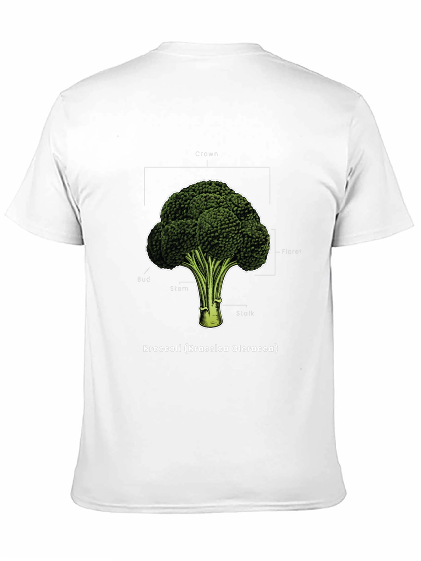 Broccoli Anatomy T-Shirt - Botanical Graphic Tee