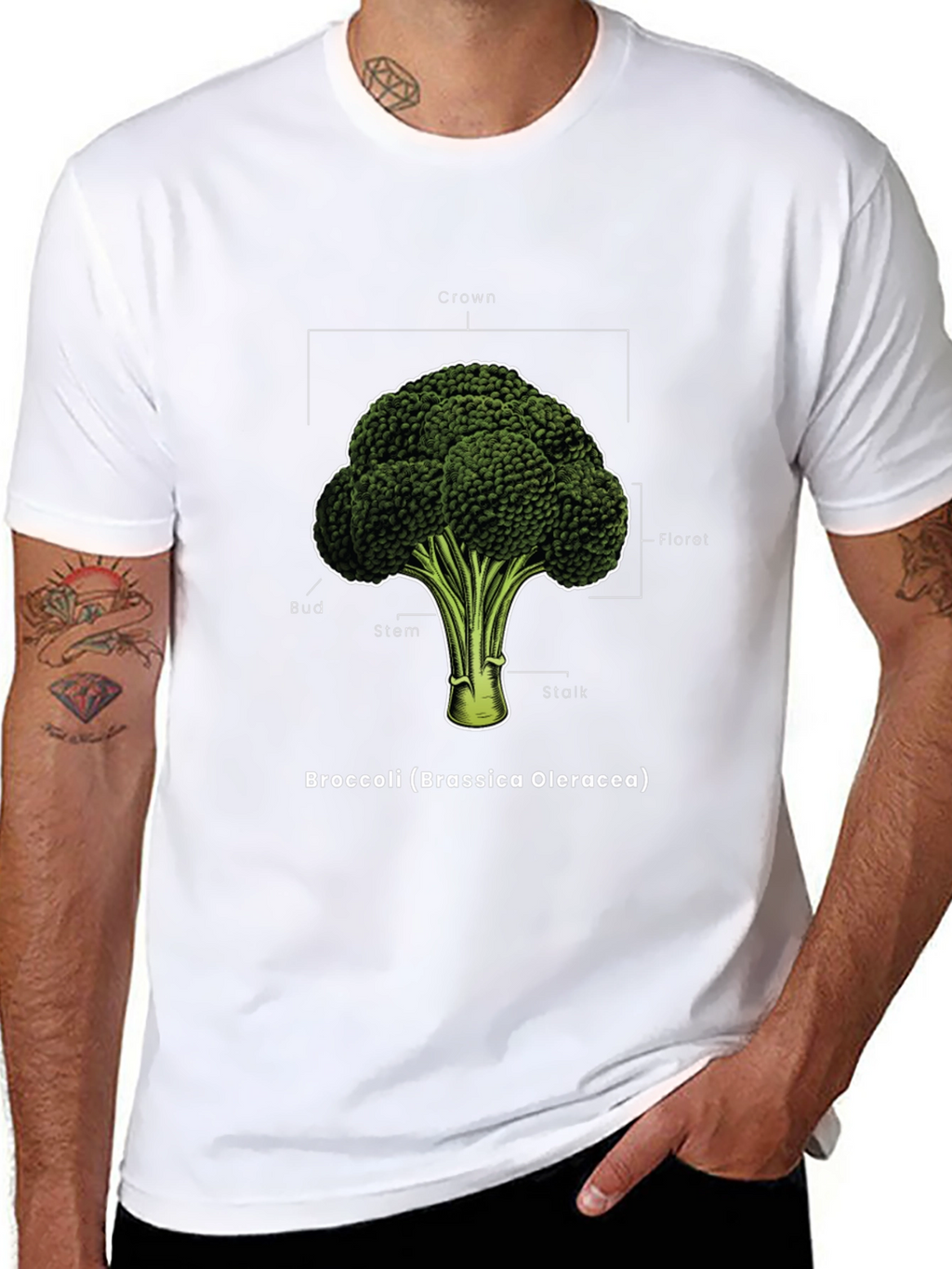 Broccoli Anatomy T-Shirt - Botanical Graphic Tee