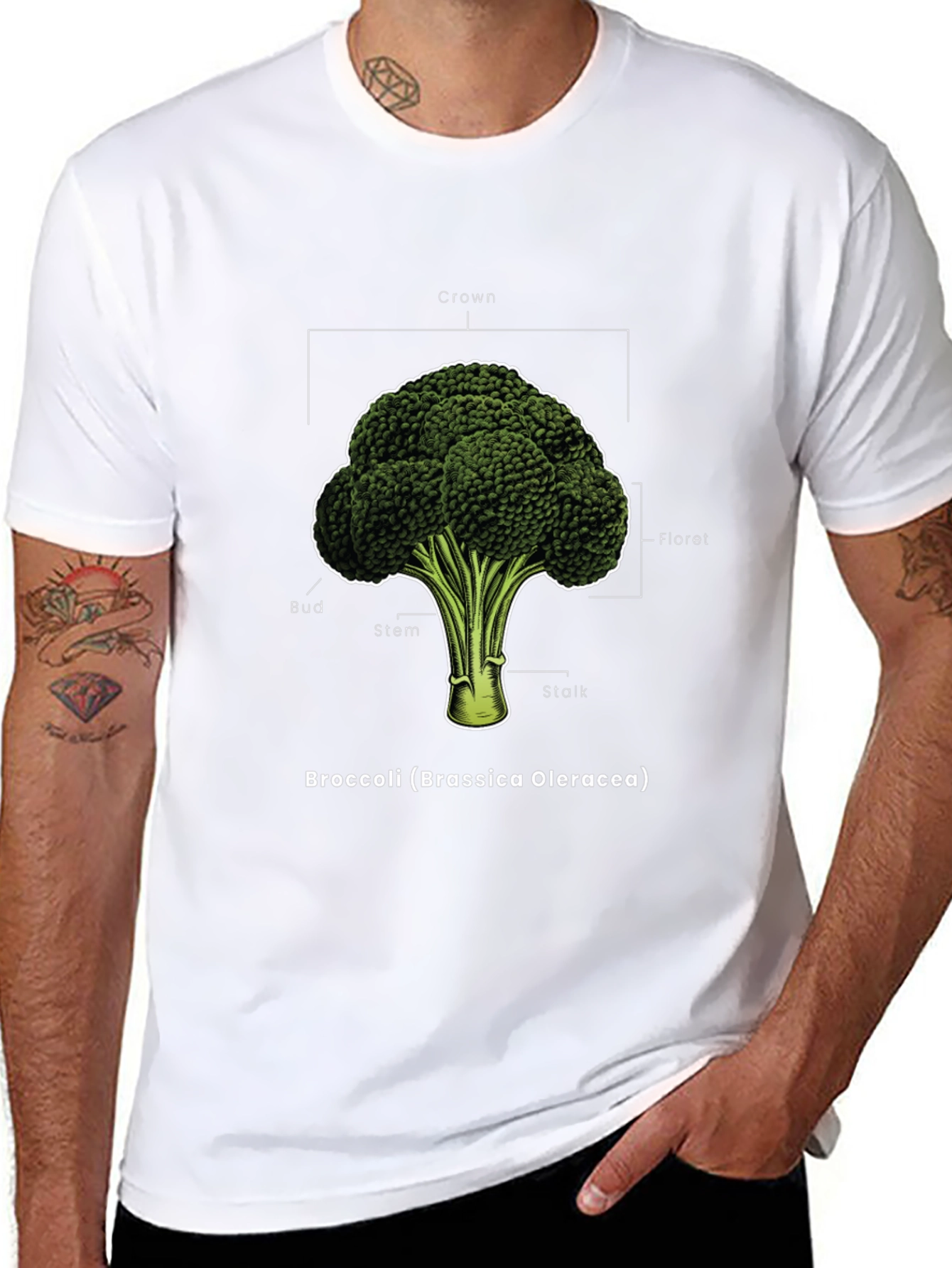 Broccoli Anatomy T-Shirt - Botanical Graphic Tee
