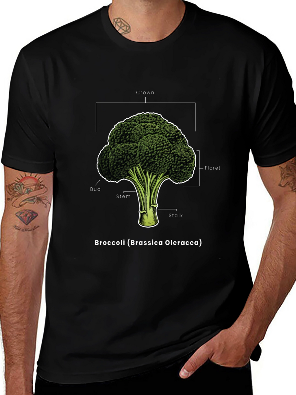 Broccoli Anatomy T-Shirt - Botanical Graphic Tee