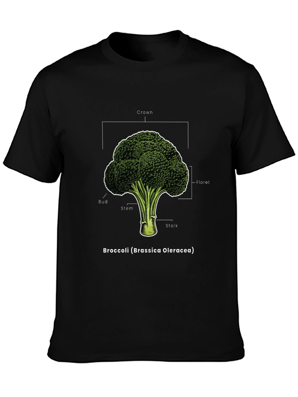 Broccoli Anatomy T-Shirt - Botanical Graphic Tee