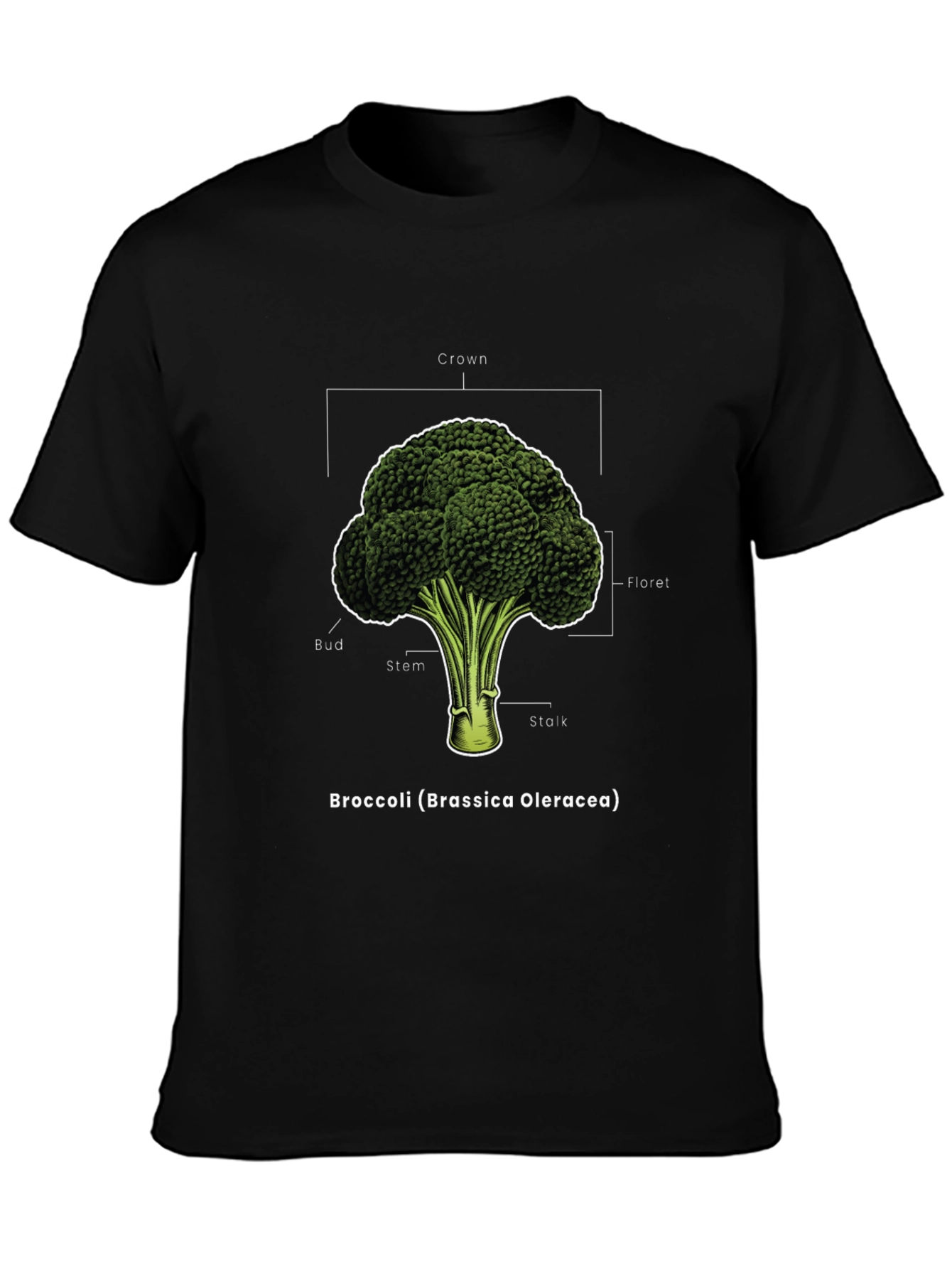 Broccoli Anatomy T-Shirt - Botanical Graphic Tee