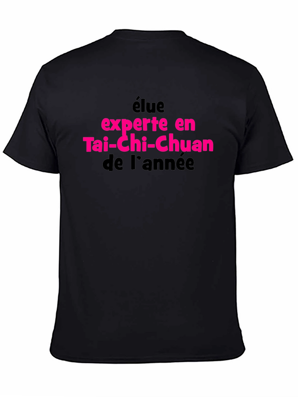 Tai-Chi Chuan Expert of the Year T-Shirt