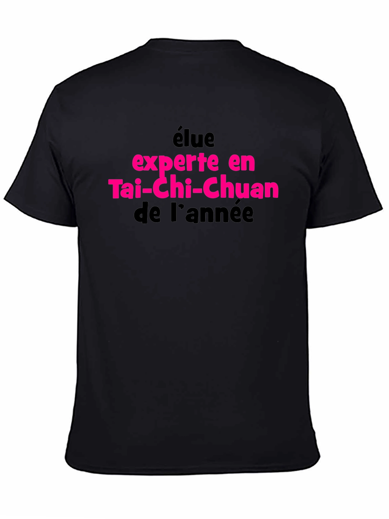 Tai-Chi Chuan Expert of the Year T-Shirt