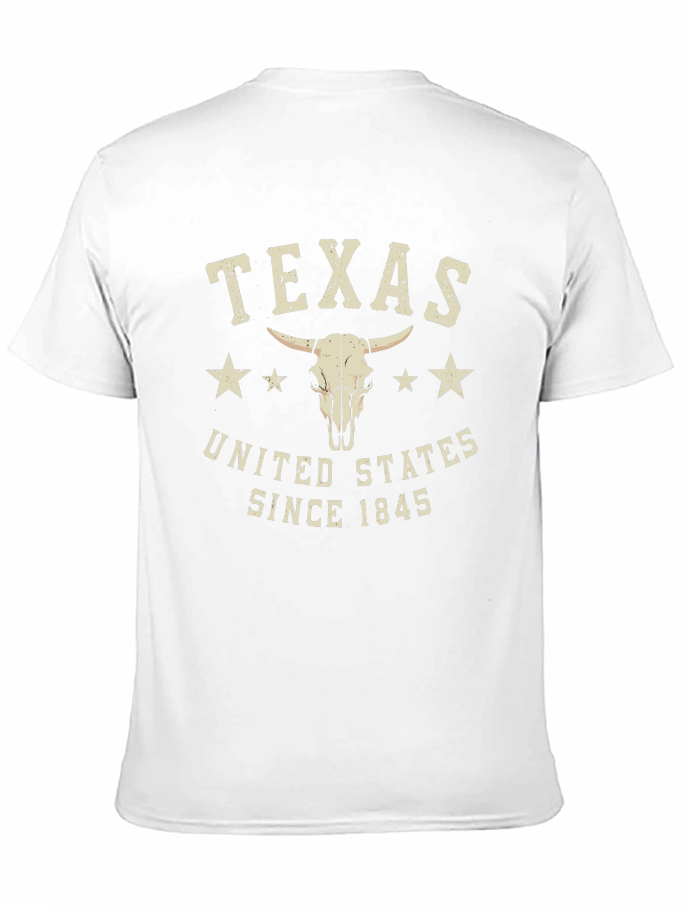 Texas United States Graphic T-Shirt